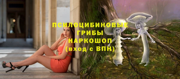 гашик Губаха