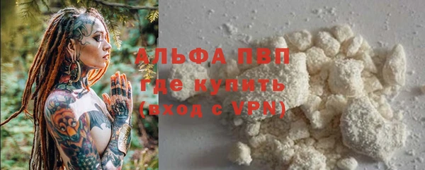 молекула духа Алексин