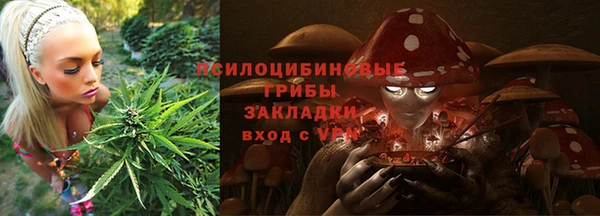 гашик Абинск